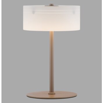 Paul Neuhaus lights MARIKA table lamp LED sand-coloured, 1-light source