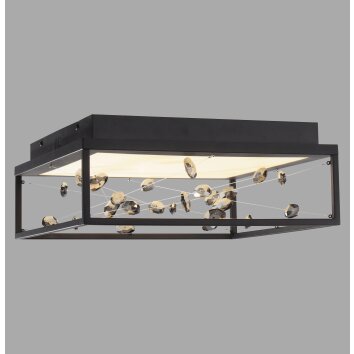 Paul Neuhaus lights SKINA ceiling light LED black, 1-light source, Remote control