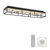 Paul Neuhaus lights SKINA ceiling light LED black, 1-light source, Remote control