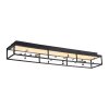 Paul Neuhaus lights SKINA ceiling light LED black, 1-light source, Remote control