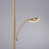 Paul Neuhaus lights ARTUR floor lamp LED sand-coloured, 2-light sources