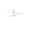 Reality lights mit Ceiling fan light LED white, 1-light source, Remote control