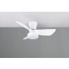 Reality lights mit Ceiling fan light LED white, 1-light source, Remote control