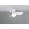 Reality lights mit Ceiling fan light LED white, 1-light source, Remote control