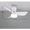 Reality lights mit Ceiling fan light LED white, 1-light source, Remote control