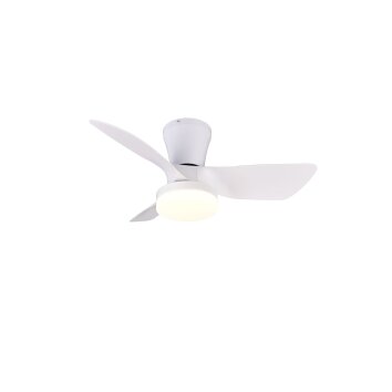 Reality lights mit Ceiling fan light LED white, 1-light source, Remote control
