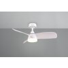 Reality lights mit Ceiling fan light LED white, 1-light source, Remote control