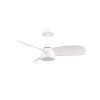 Reality lights mit Ceiling fan light LED white, 1-light source, Remote control