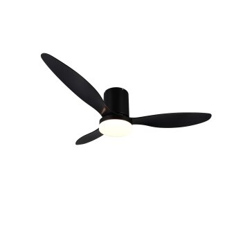 Reality lights mit Ceiling fan light LED black, 1-light source, Remote control