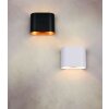 Trio lights Alani wall light black-gold, 1-light source