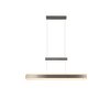 Trio lights Arcola pendant light LED matt nickel, 1-light source