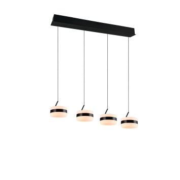 Trio lights Dios pendant light LED black, 4-light sources