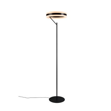 Trio lights Dios floor lamp LED black, 1-light source