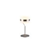 Trio lights Dios table lamp LED matt nickel, 1-light source