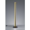 Trio-Leuchten Texel Floor Lamp LED black, 1-light source