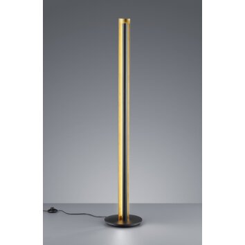 Trio-Leuchten Texel Floor Lamp LED black, 1-light source