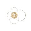 Trio lights Drake ceiling light LED gold, 1-light source, Remote control