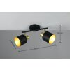 Trio lights Eva ceiling spotlight black-gold, 2-light sources