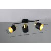 Trio lights Eva ceiling spotlight black-gold, 3-light sources