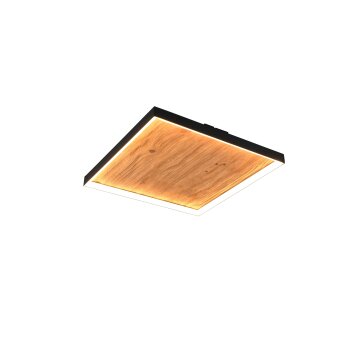 Trio lights Kalea ceiling light LED Light wood, 1-light source