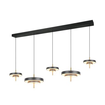 Trio lights KEATON pendant light LED black-gold, 1-light source