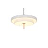 Trio lights KEATON pendant light LED grey, 1-light source