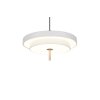 Trio lights KEATON pendant light LED grey, 1-light source