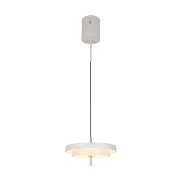 Trio lights KEATON pendant light LED grey, 1-light source