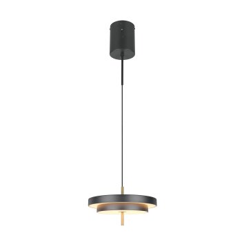 Trio lights KEATON pendant light LED black-gold, 1-light source
