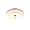 Trio lights KEATON ceiling light LED grey, 1-light source