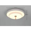 Trio lights KEATON ceiling light LED grey, 1-light source
