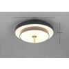 Trio lights KEATON ceiling light LED black-gold, 1-light source