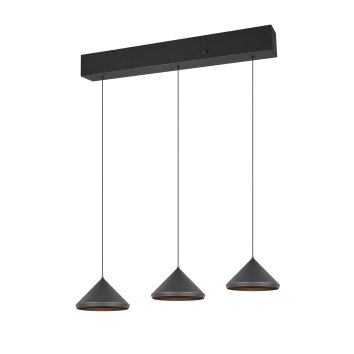 Trio lights Laguna pendant light LED black, 3-light sources