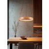 Trio lights Lynwood pendant light LED Light wood, 1-light source