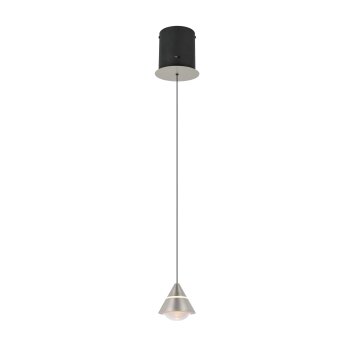 Trio lights Romeo pendant light LED matt nickel, 1-light source
