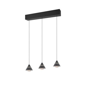 Trio lights Romeo pendant light LED black, 3-light sources