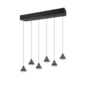 Trio lights Romeo pendant light LED black, 6-light sources