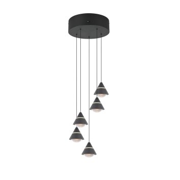 Trio lights Romeo pendant light LED black, 5-light sources