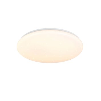 Reality lights Cetus ceiling light LED white, 1-light source, Remote control, Colour changer