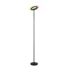 Reality lights Samba floor lamp LED black, 1-light source, Remote control, Colour changer
