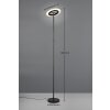 Reality lights Samba floor lamp LED black, 1-light source, Remote control, Colour changer