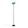 Reality lights Samba floor lamp LED black, 1-light source, Remote control, Colour changer