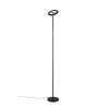 Reality lights Samba floor lamp LED black, 1-light source, Remote control, Colour changer