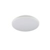 Reality lights Slope ceiling light LED white, 1-light source, Remote control