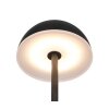 Reality lights Tembo table lamp LED black, 1-light source, Colour changer