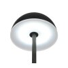 Reality lights Tembo table lamp LED black, 1-light source, Colour changer