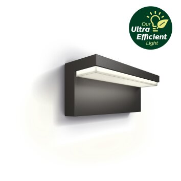 Philips Lights Bustan outdoor wall light LED anthracite, 1-light source