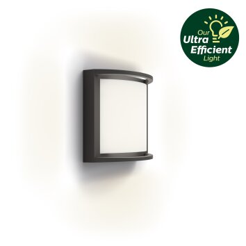 Philips Lights Samondra outdoor wall light LED anthracite, 1-light source