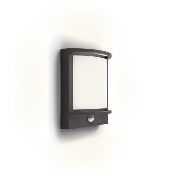Philips Lights Samondra outdoor wall light LED anthracite, 1-light source