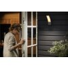 Philips Lights Splay outdoor wall light LED anthracite, 1-light source